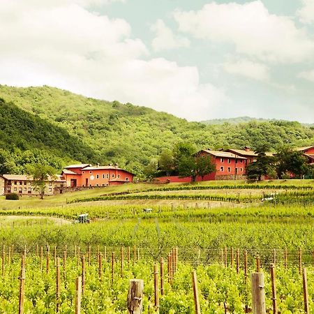 Agriturismo L'Uva E Le Stelle Faedis Extérieur photo