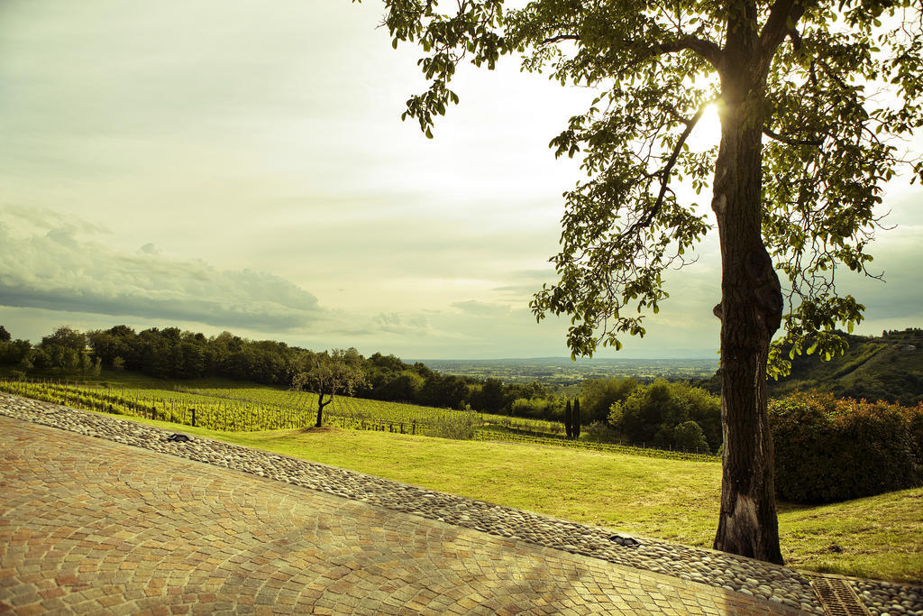 Agriturismo L'Uva E Le Stelle Faedis Extérieur photo