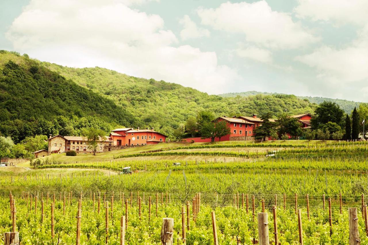 Agriturismo L'Uva E Le Stelle Faedis Extérieur photo
