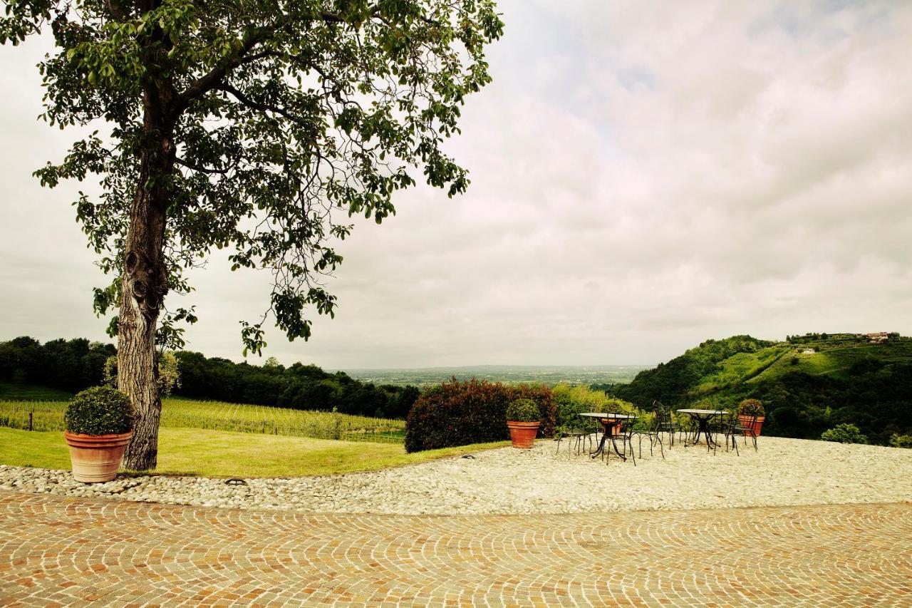 Agriturismo L'Uva E Le Stelle Faedis Extérieur photo